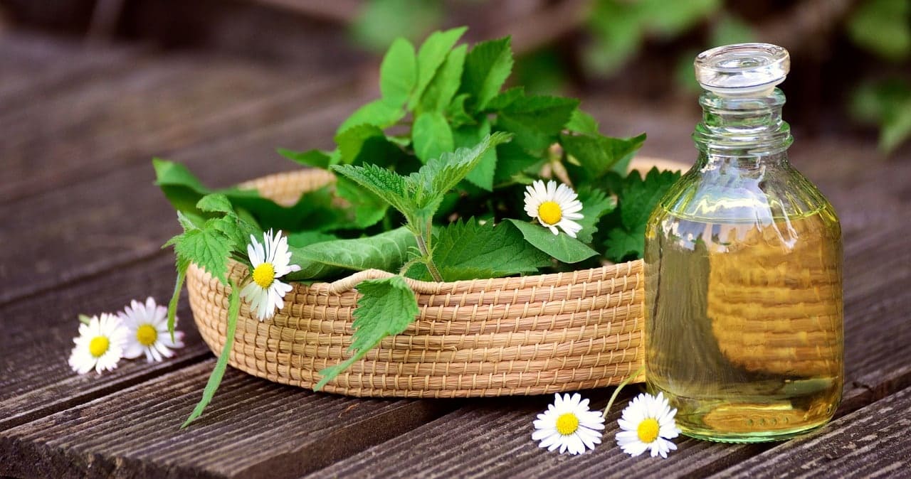 herbs-5145166_1280